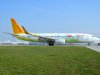 zz_TC-CPN Pegasus Boeing 737-82R(WL).jpg
