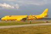 19_sp-lno.jpg
