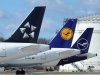 LH-Tails (1).jpg