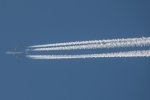 DSC_3521.jpg