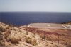 Saba2.jpg