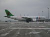 SDC10429.jpg