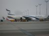 SDC10513.jpg