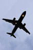 MUC0705_6.jpg