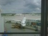 IMG00009-20090905-1506.jpg