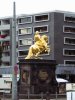 IMG_6799.JPG
