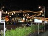 IMG_2855.jpg