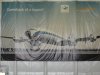 DSC02394.JPG
