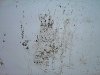 DSCN2347.jpg