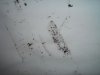DSCN2349.jpg