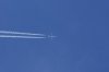 Omni Air International N396AX - B 767-319ER.jpg