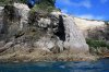 Coromandel_09.JPG