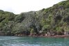 Bay_04.JPG