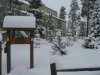 IMG_5778.jpg