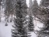 IMG_5144.jpg