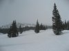 IMG_5768.jpg