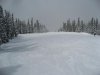 IMG_5783.jpg