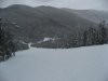 IMG_5782.jpg
