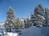 IMG_5785.jpg