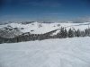 IMG_5794.jpg