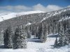 IMG_5792.jpg