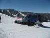 IMG_5166.jpg
