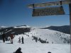 IMG_5169.jpg