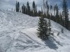 IMG_5798.jpg