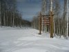 IMG_5801.jpg
