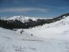 IMG_5177.jpg