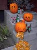 TheDayAfterHalloween.jpg