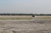 D20B0299.jpg