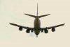 7373.JPG
