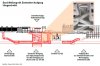 Stamm 2 Hbf - erschliessung-zentrale-zugaenge-laengsschnitt_01.jpg