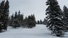 2015-02-28 11.21.55.jpg