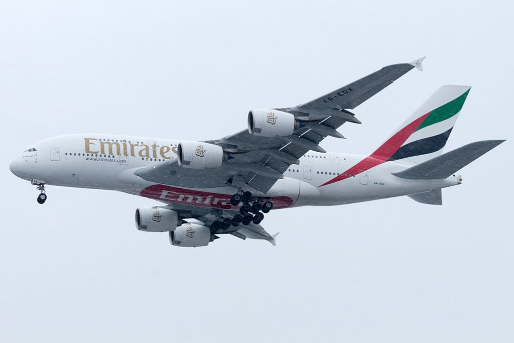 A6-EDX_1.jpg