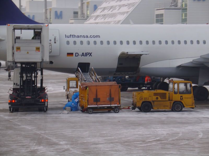 muc11.jpg
