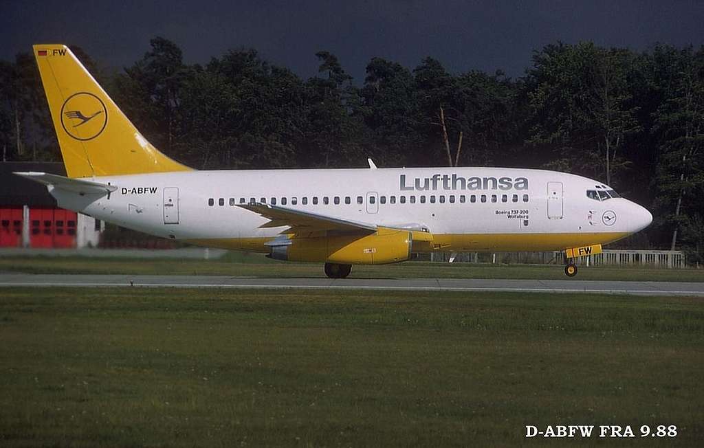 13dabfw.jpg