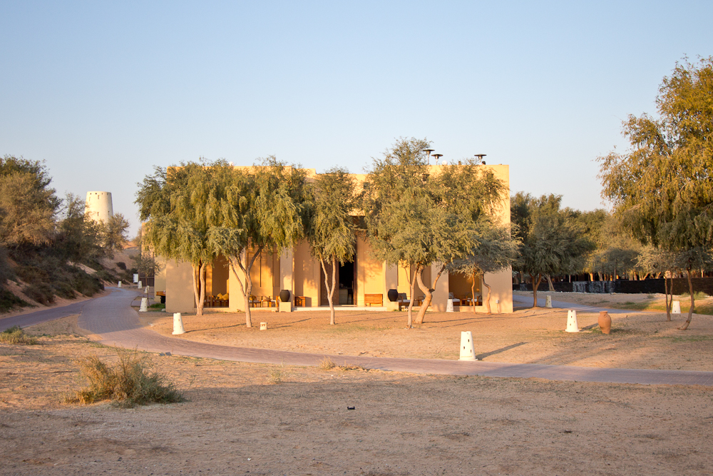 Ras_Al_Khaimah_Wüste_Falken_40.jpg