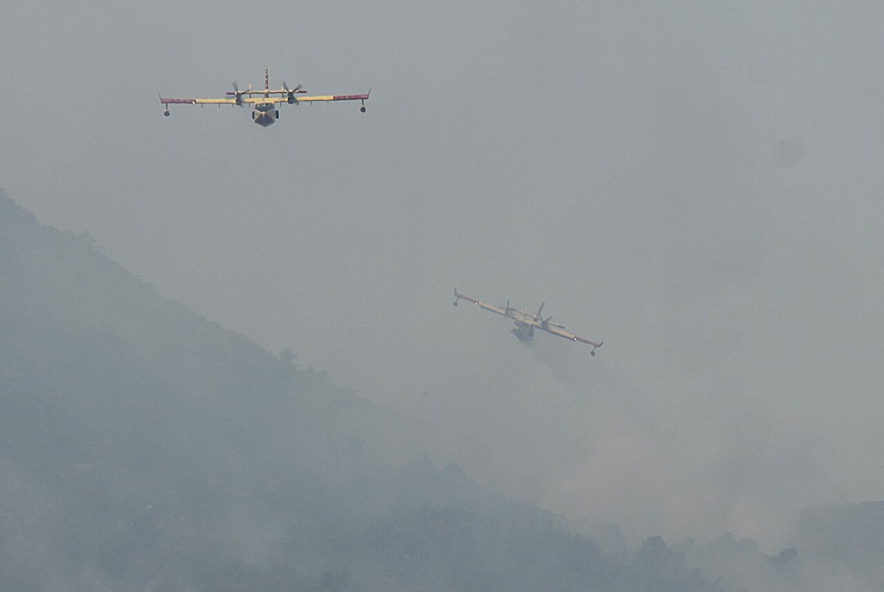 51221025pu.jpg