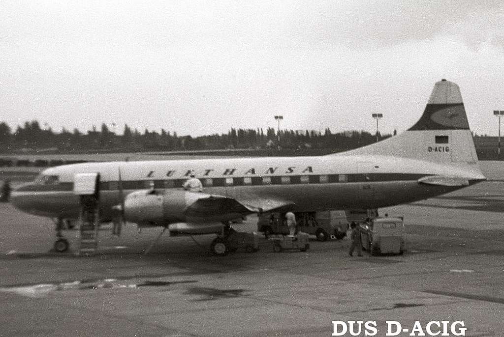 dusdacig.jpg