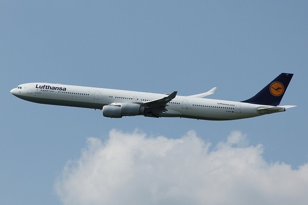 51404037dv.jpg