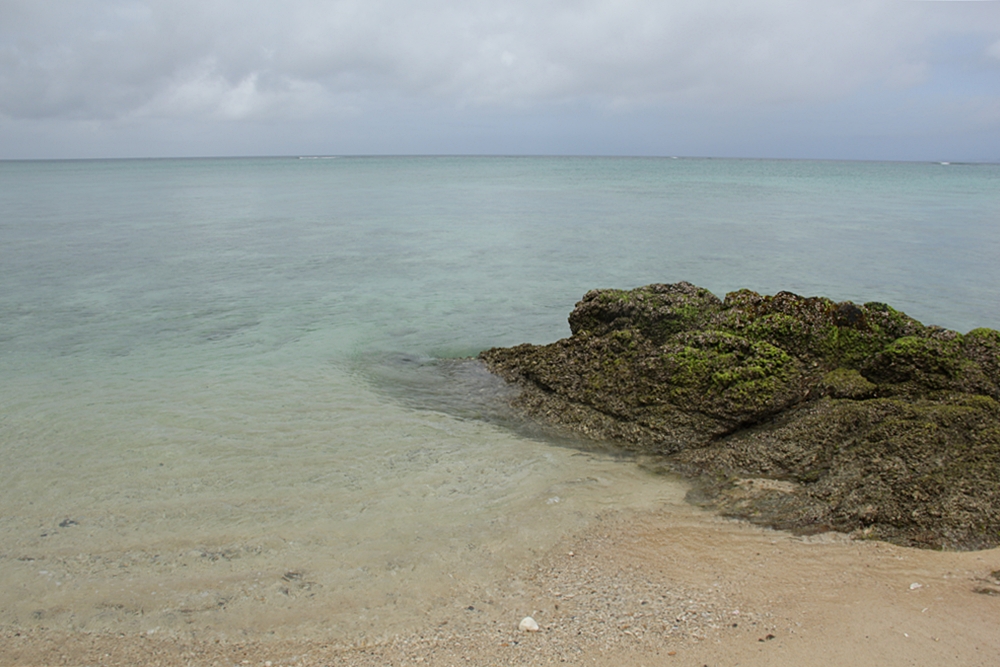 21809743jl.jpg