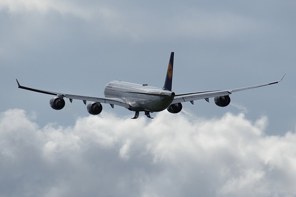 51404032nr.jpg