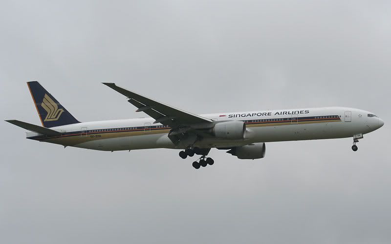 sq_773_2.jpg