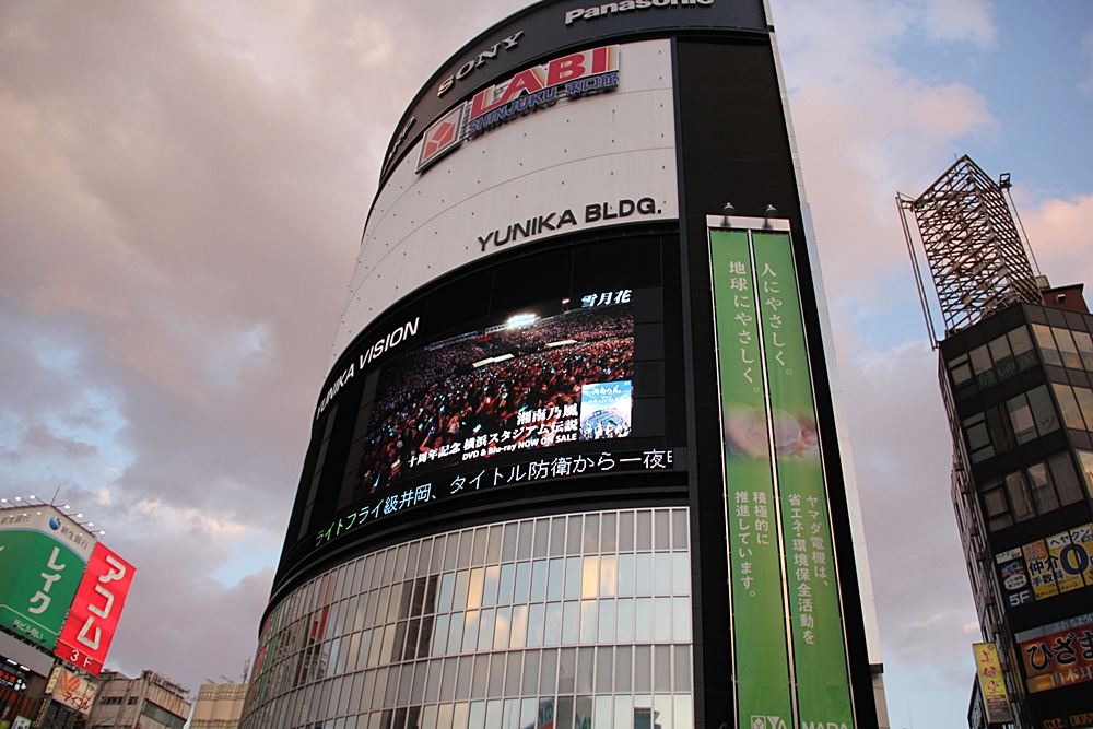 17009303tx.jpg