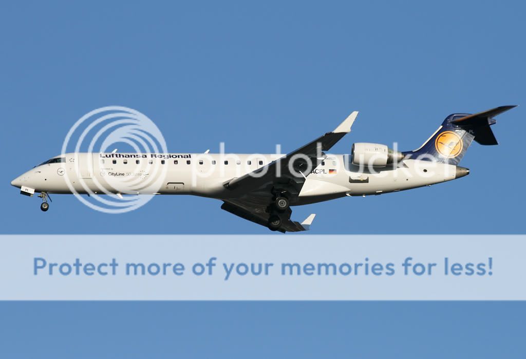 D-ACPL.jpg
