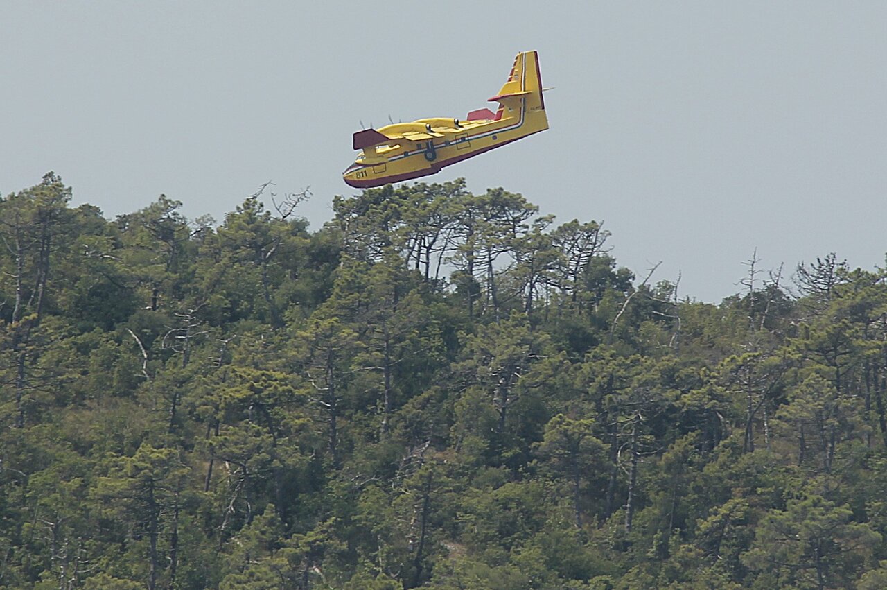 51221020ed.jpg
