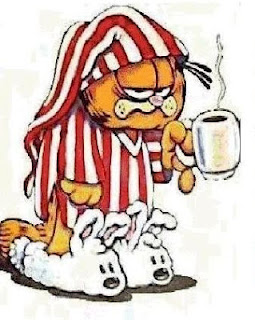 Sleepy_Garfield.jpg