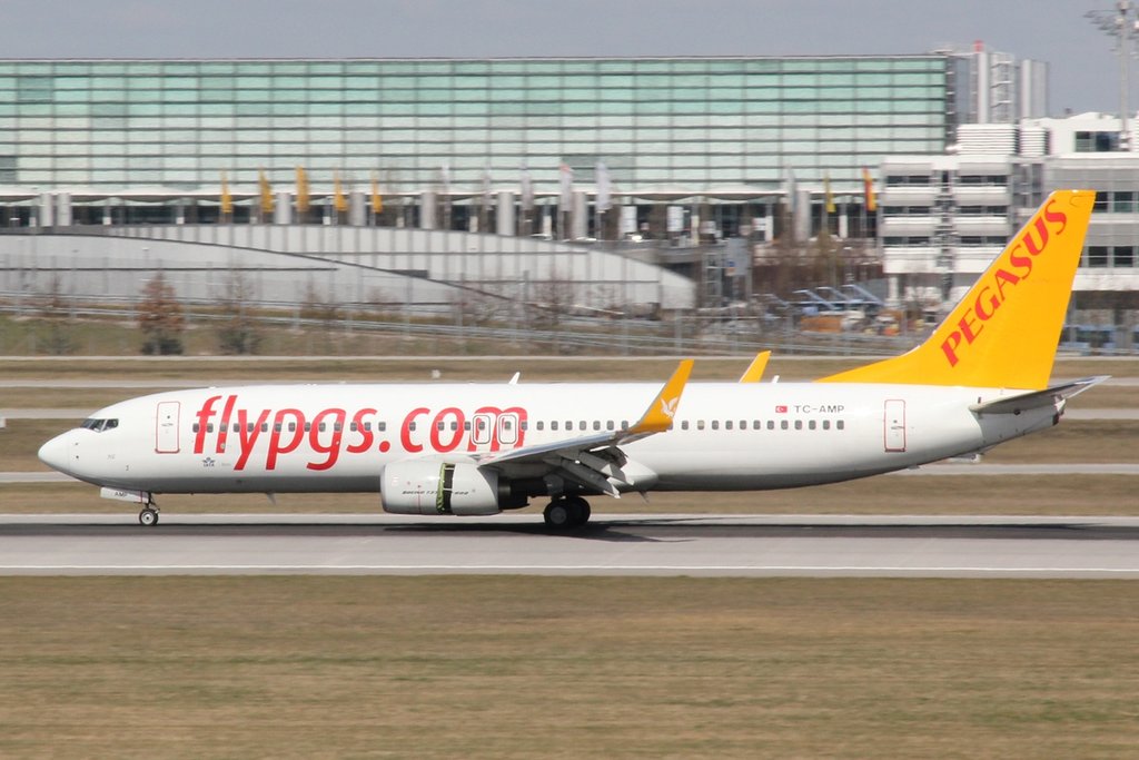 10009498xi.jpg